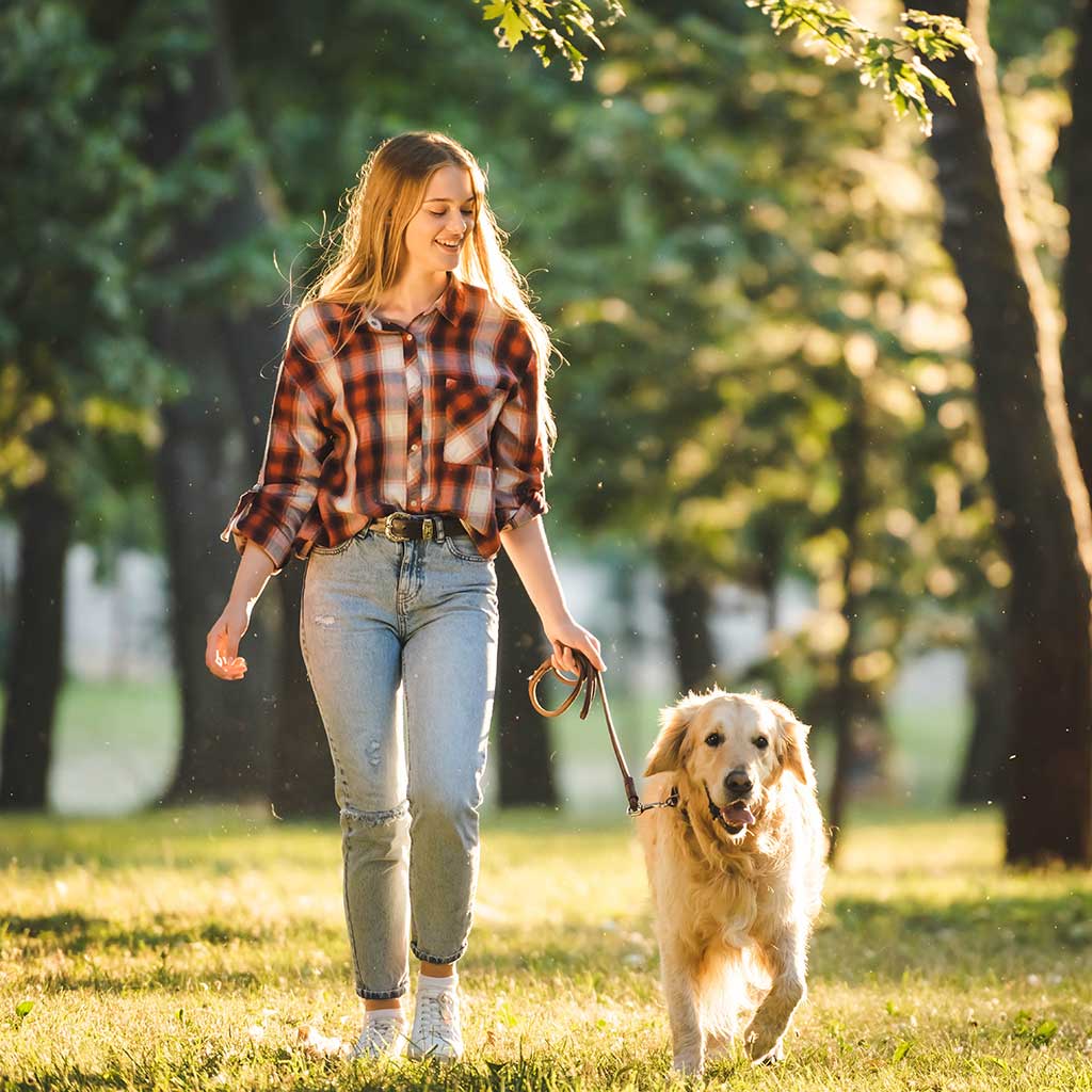 Person Walking Dog in Regina Park